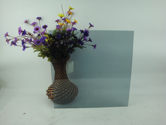 10mm Euro grey float glass